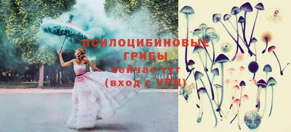скорость Алзамай